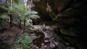 Carnarvon Gorge