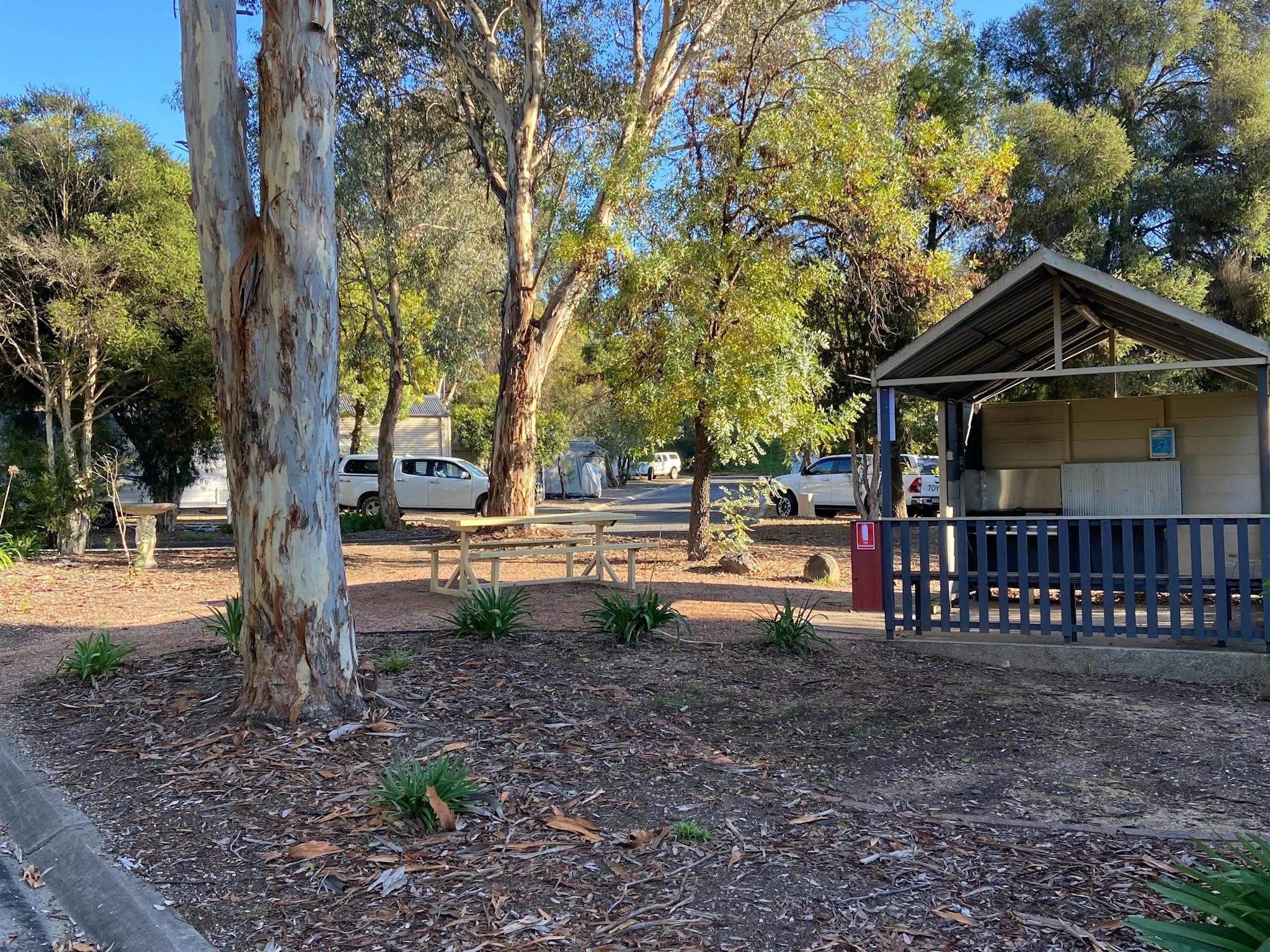 The park is peaceful and quiet and full of trees