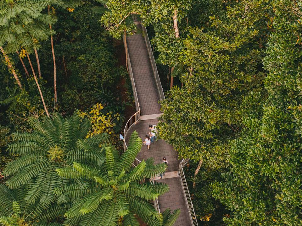 Elevated Walkway