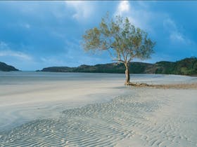 Cape York Beach, Far North Queensland