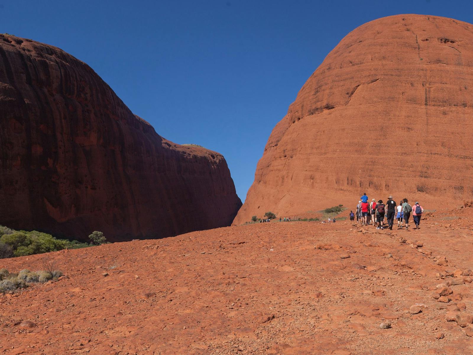 Remote Tours