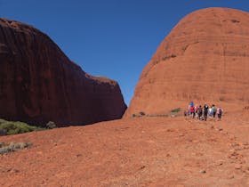 Remote Tours NT