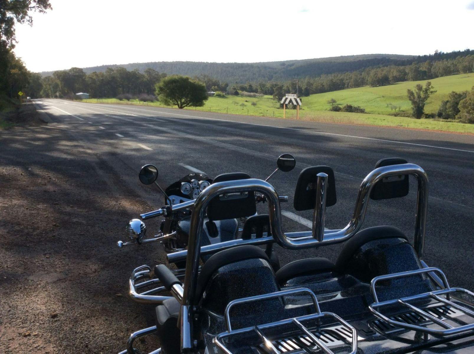 Cow Tour