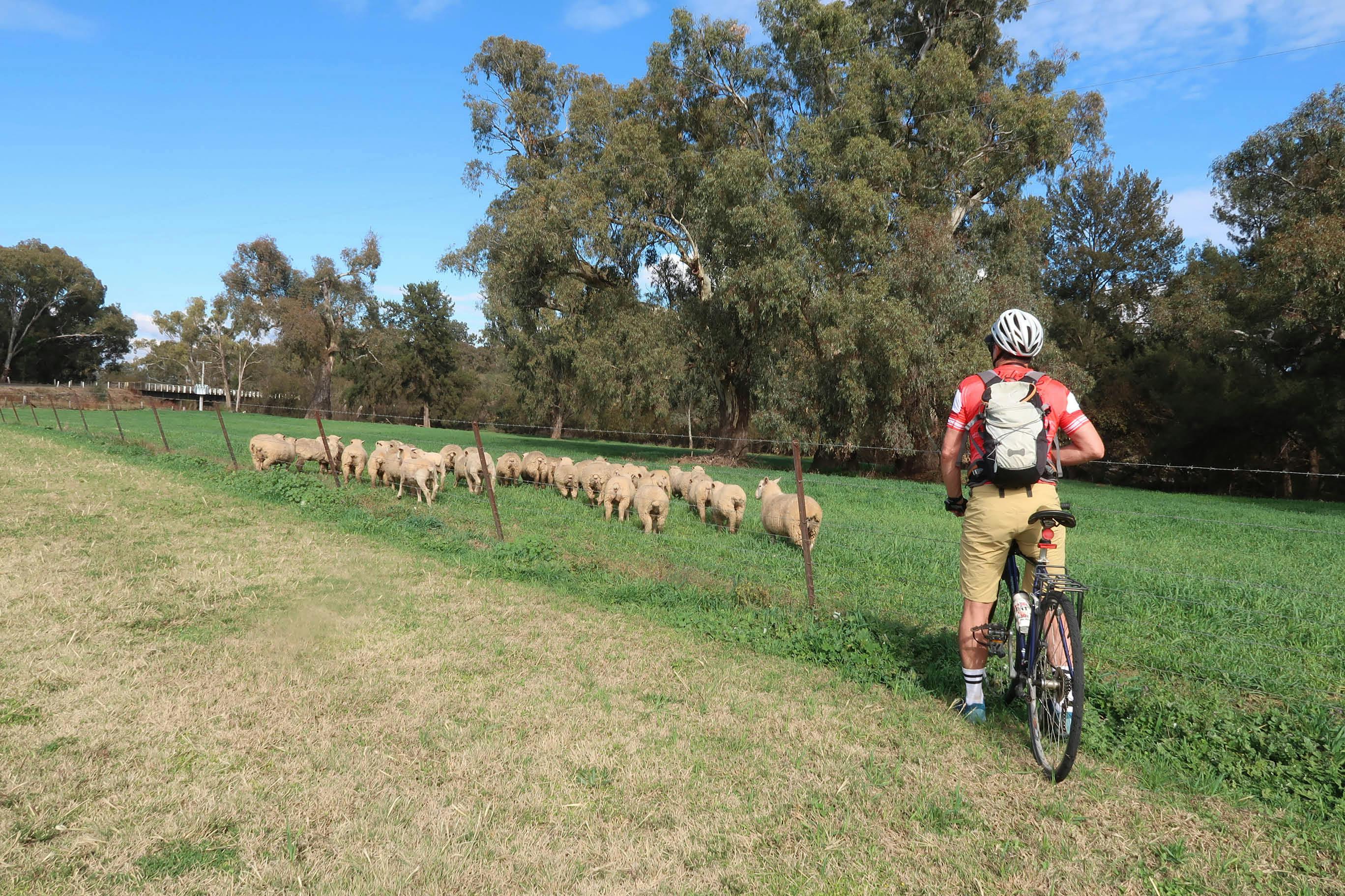 探索中西部自行車道