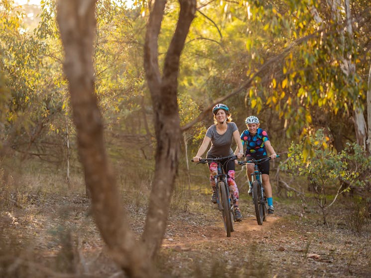 Pomingalarna Reserve in Wagga Wagga