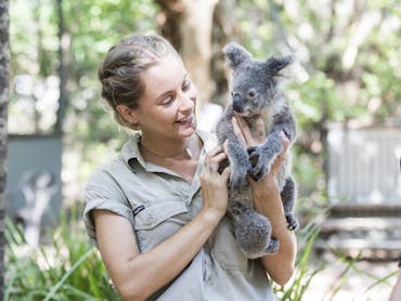 Ranger with Koala Ranger with Koala
