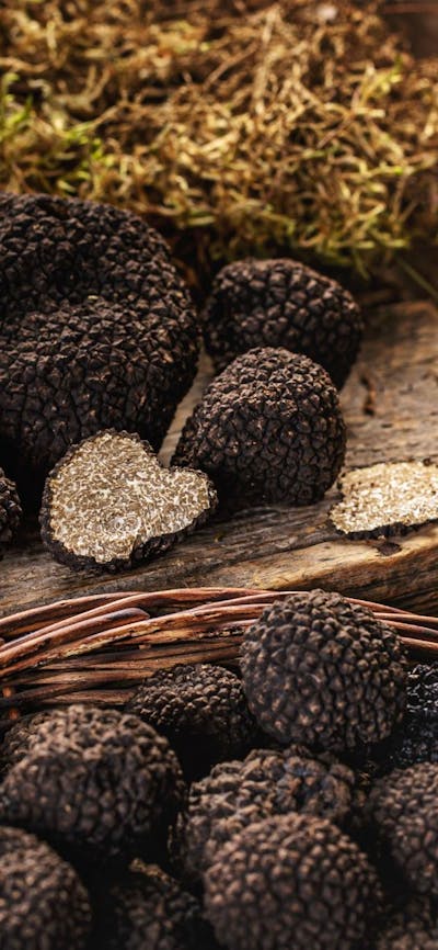 5-Course Truffle Degustation with Matched Wines