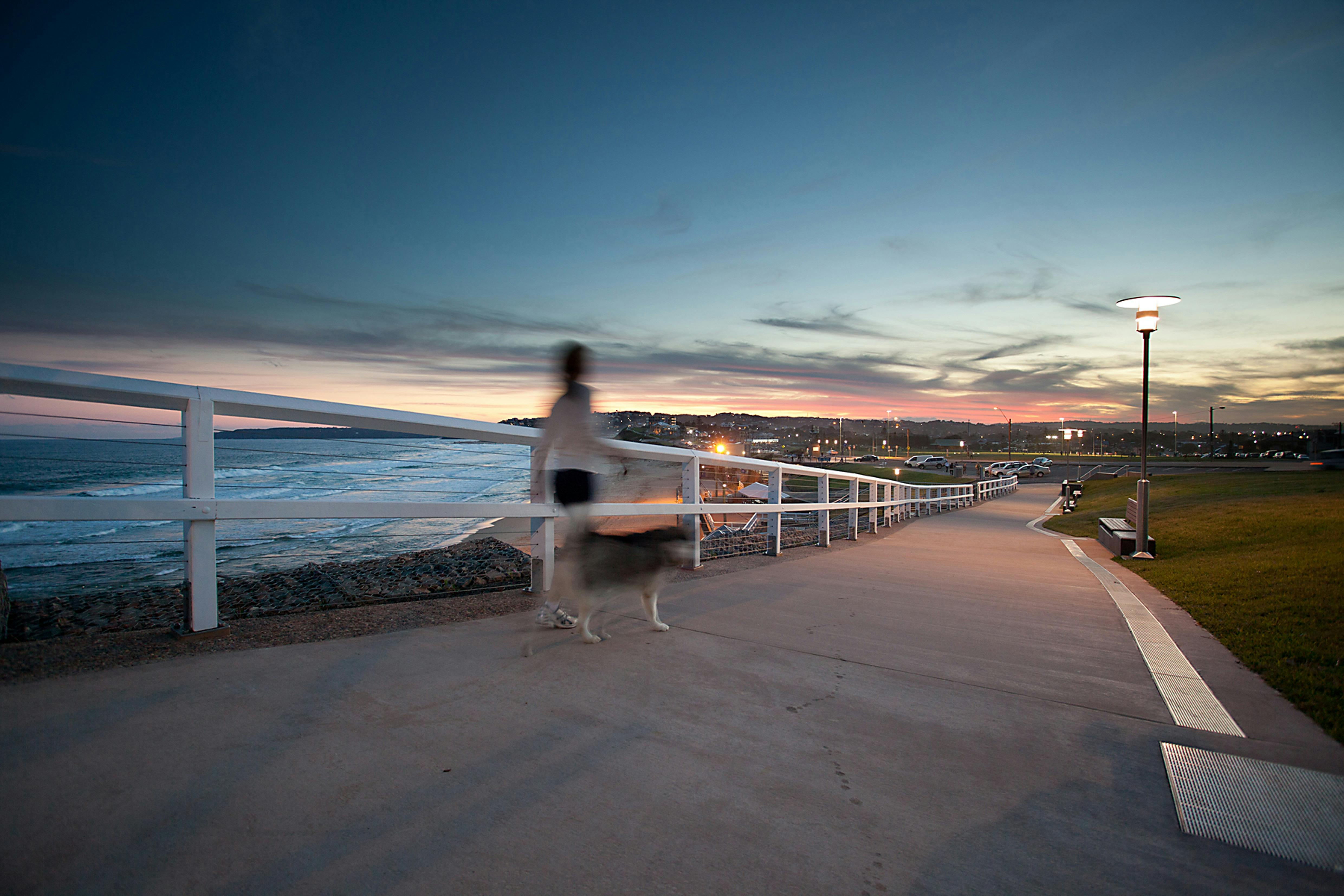 ディクソン パーク ビーチ