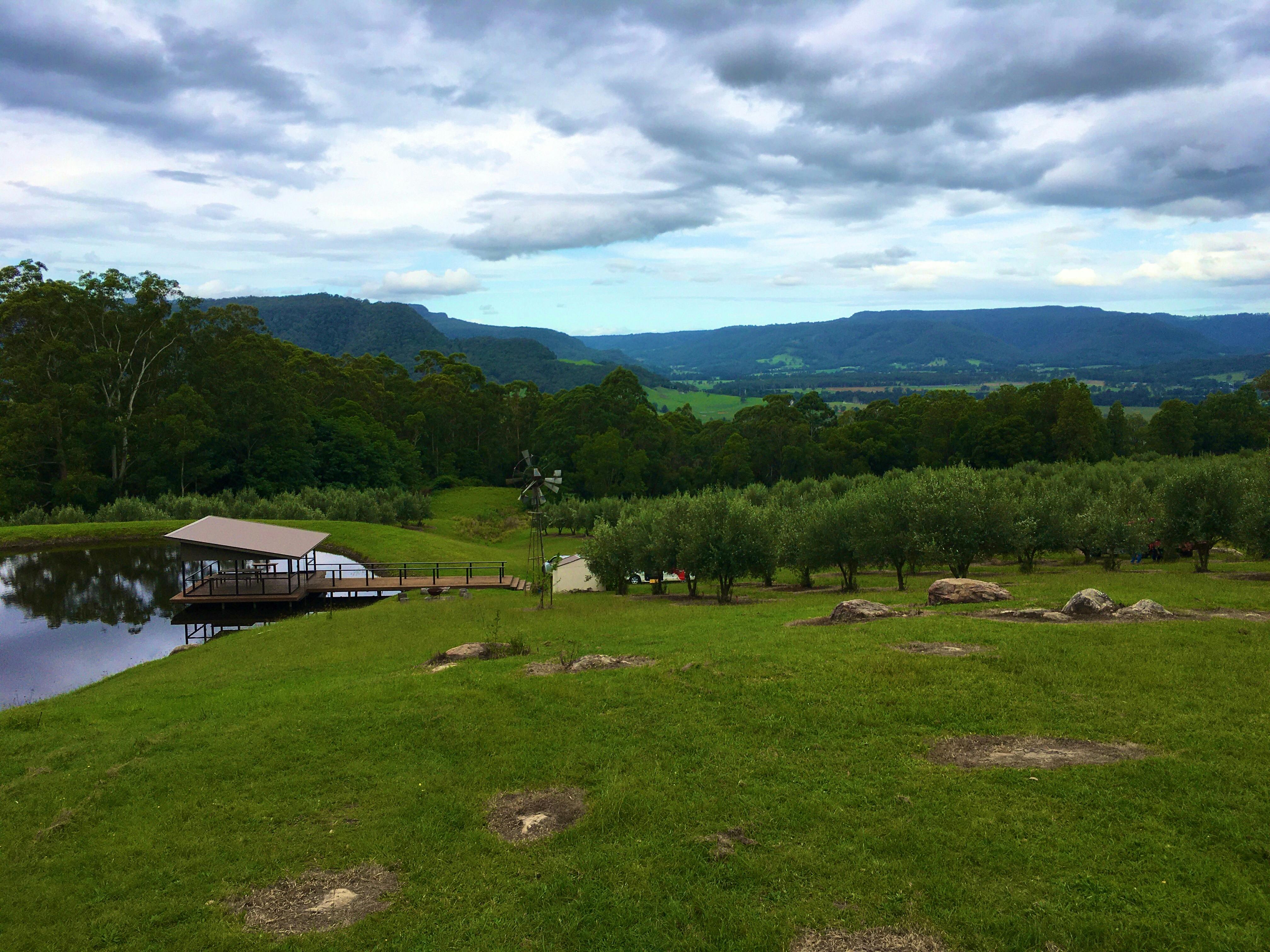 Events Escarpments Pavilion Olives Highgrove