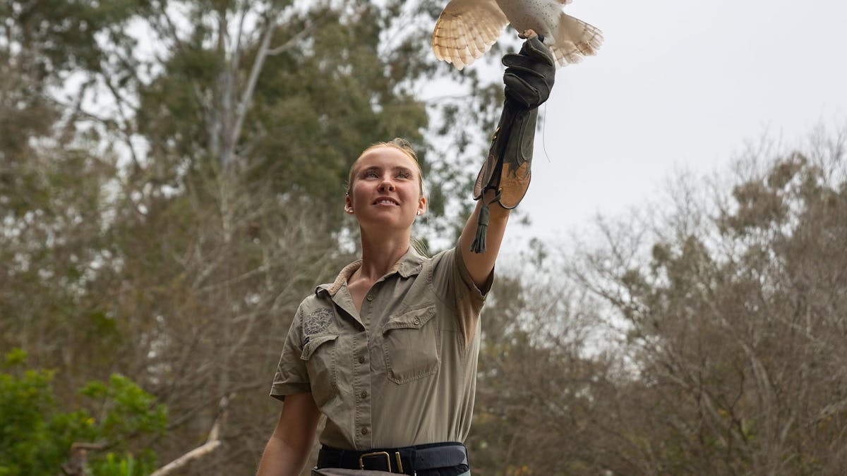 Wildlife keeper with owl