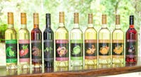 Tropical fruit wine tasting