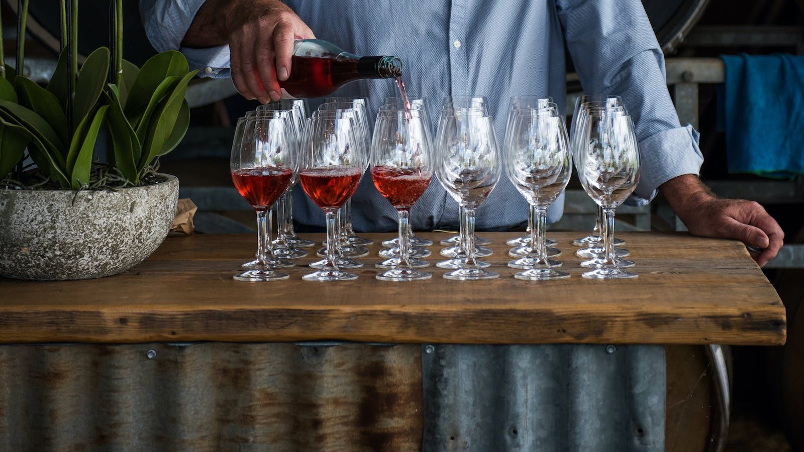 Image for Orange Wine Show Masterclasses