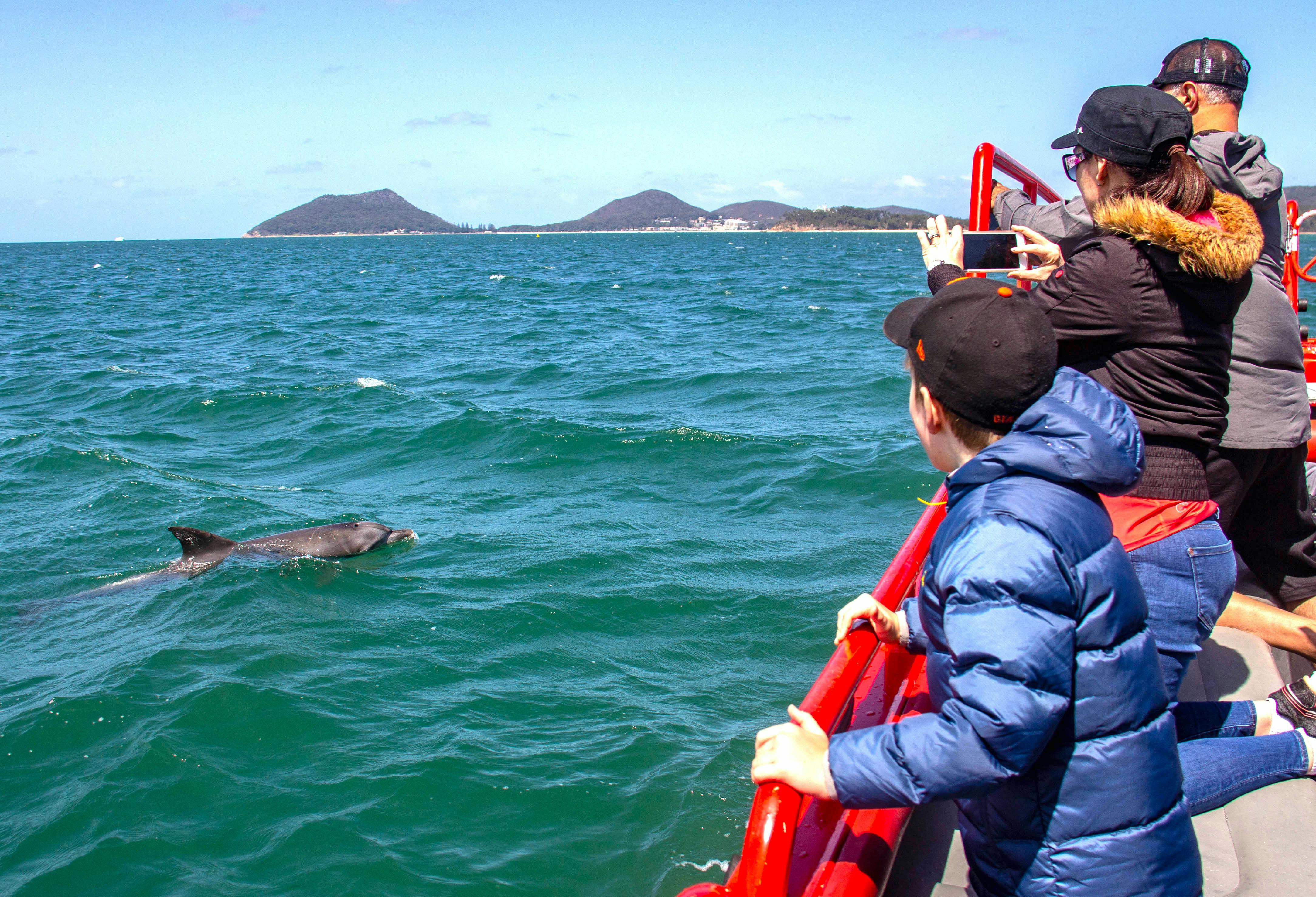 1 Hour Dolphin Watch Express
