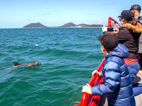 1 Hour Dolphin Watch Express