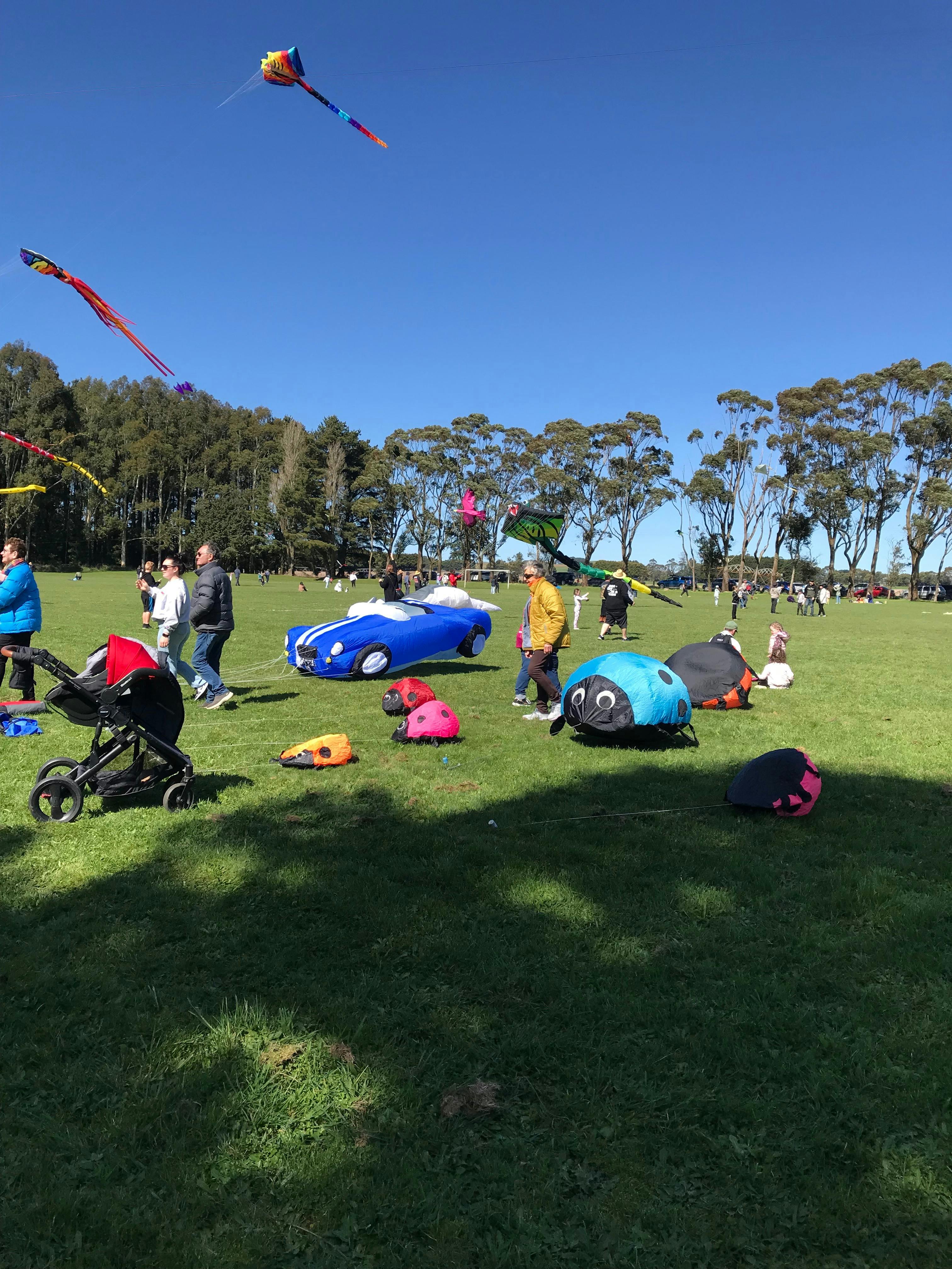 Cleverly shaped kites