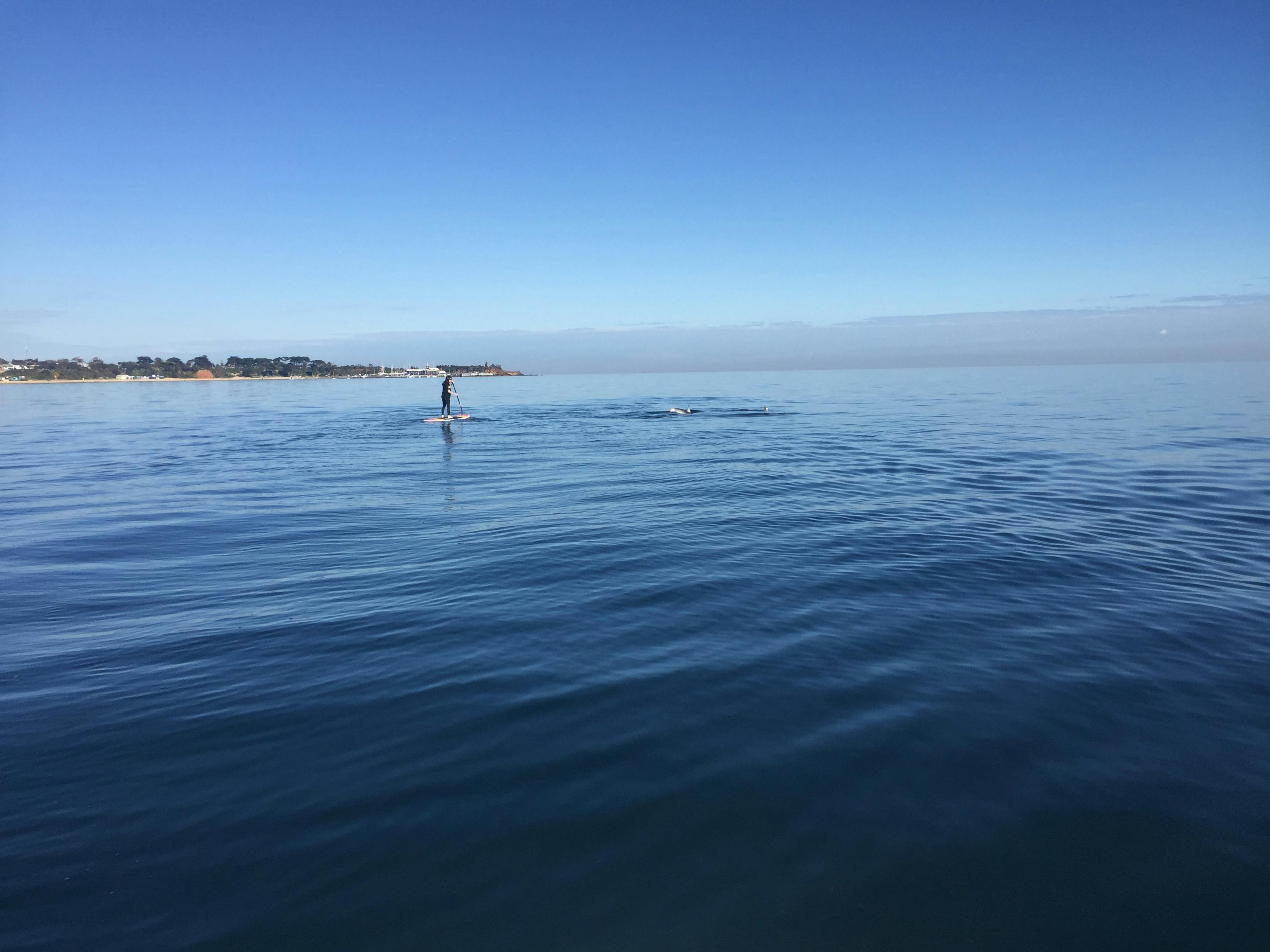 Stand Up Paddle Board hire Mornington Peninsula Melbourne