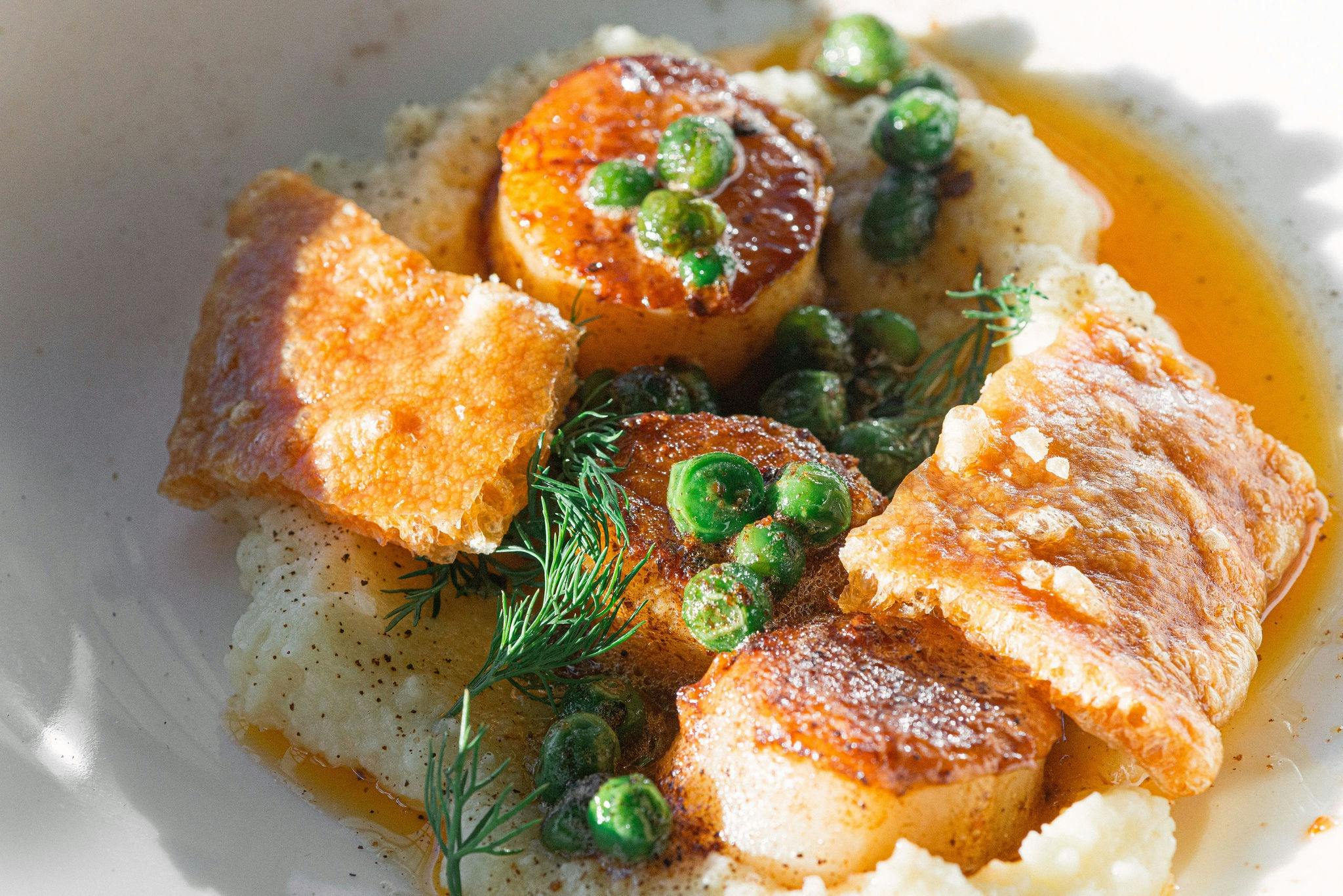 Seared Ocean Scallops - A flavour sensation like no other