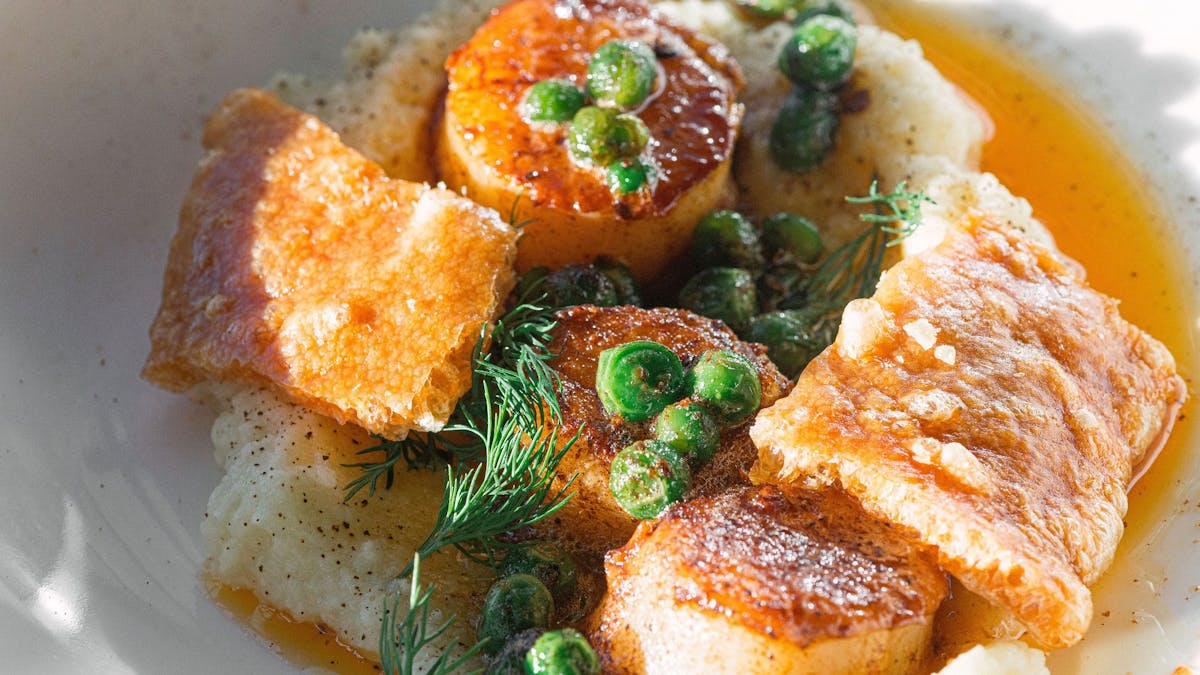 Seared Ocean Scallop - celeriac puree | browned chilli butter | peas | pork crackle Seared Ocean Scallop - celeriac puree | browned chilli butter | peas | pork crackle
