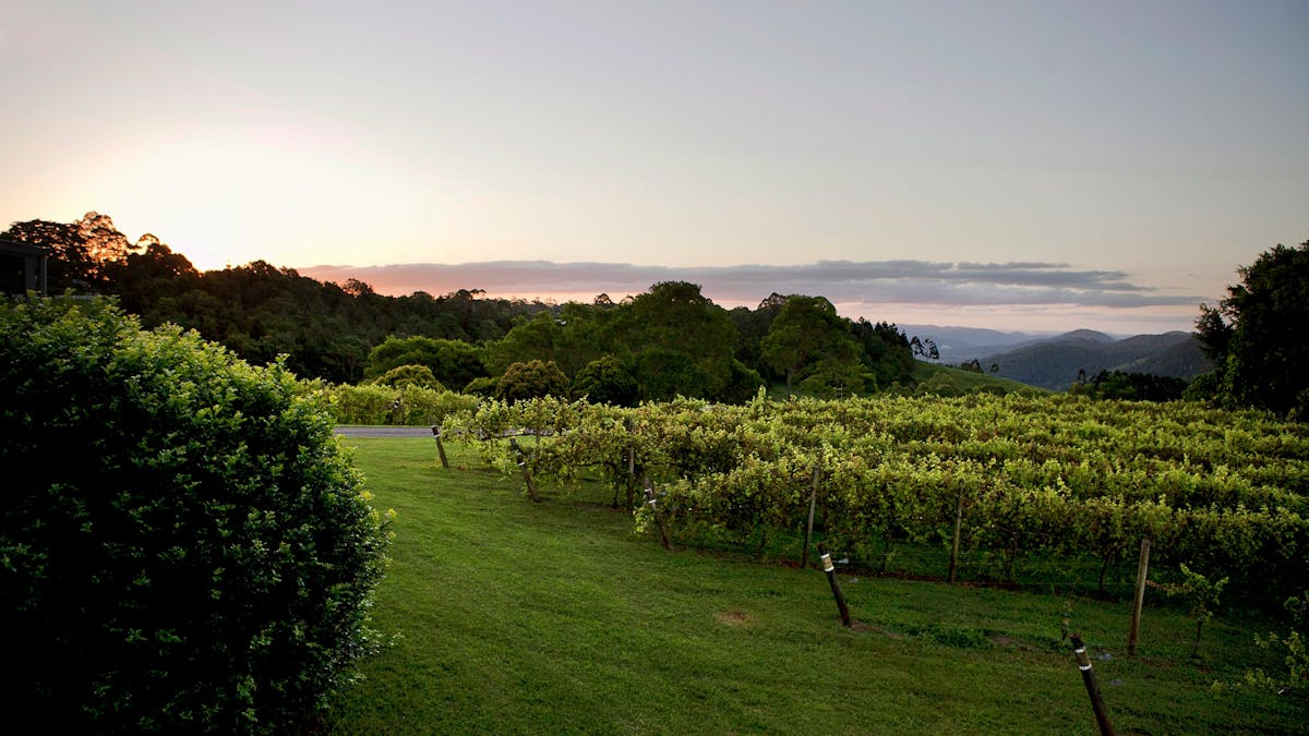 Flame Hill Vineyard and Restaurant Montville