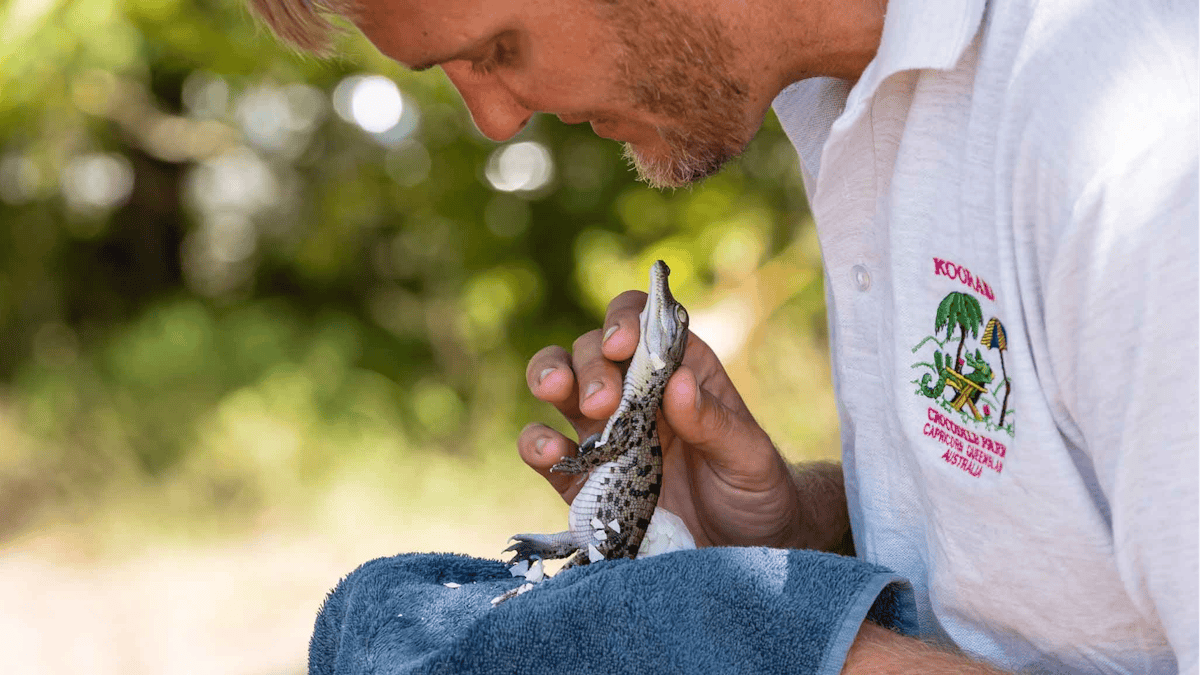 Koorana Crocodile Farm