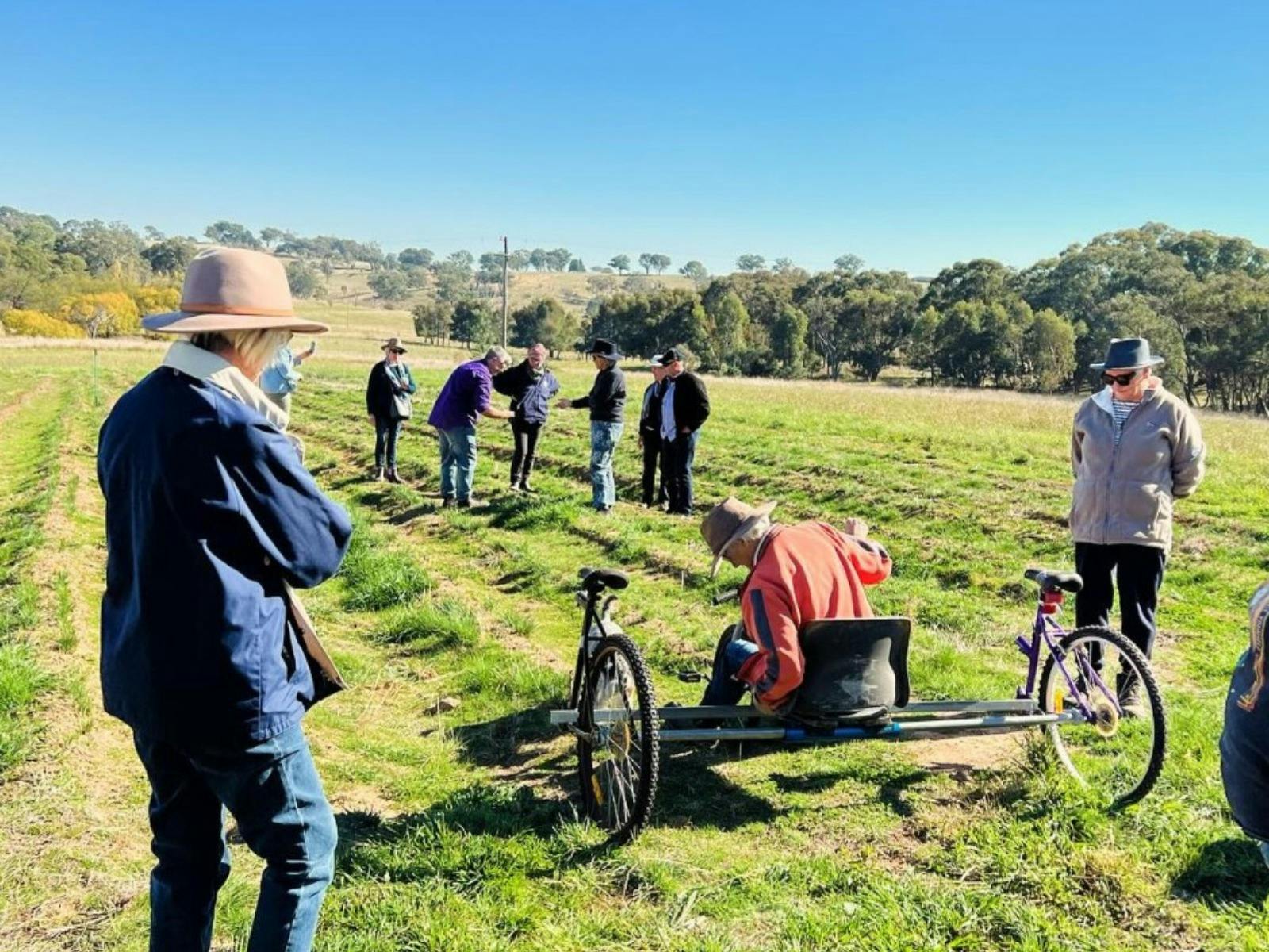 Saffron Harvest Tours