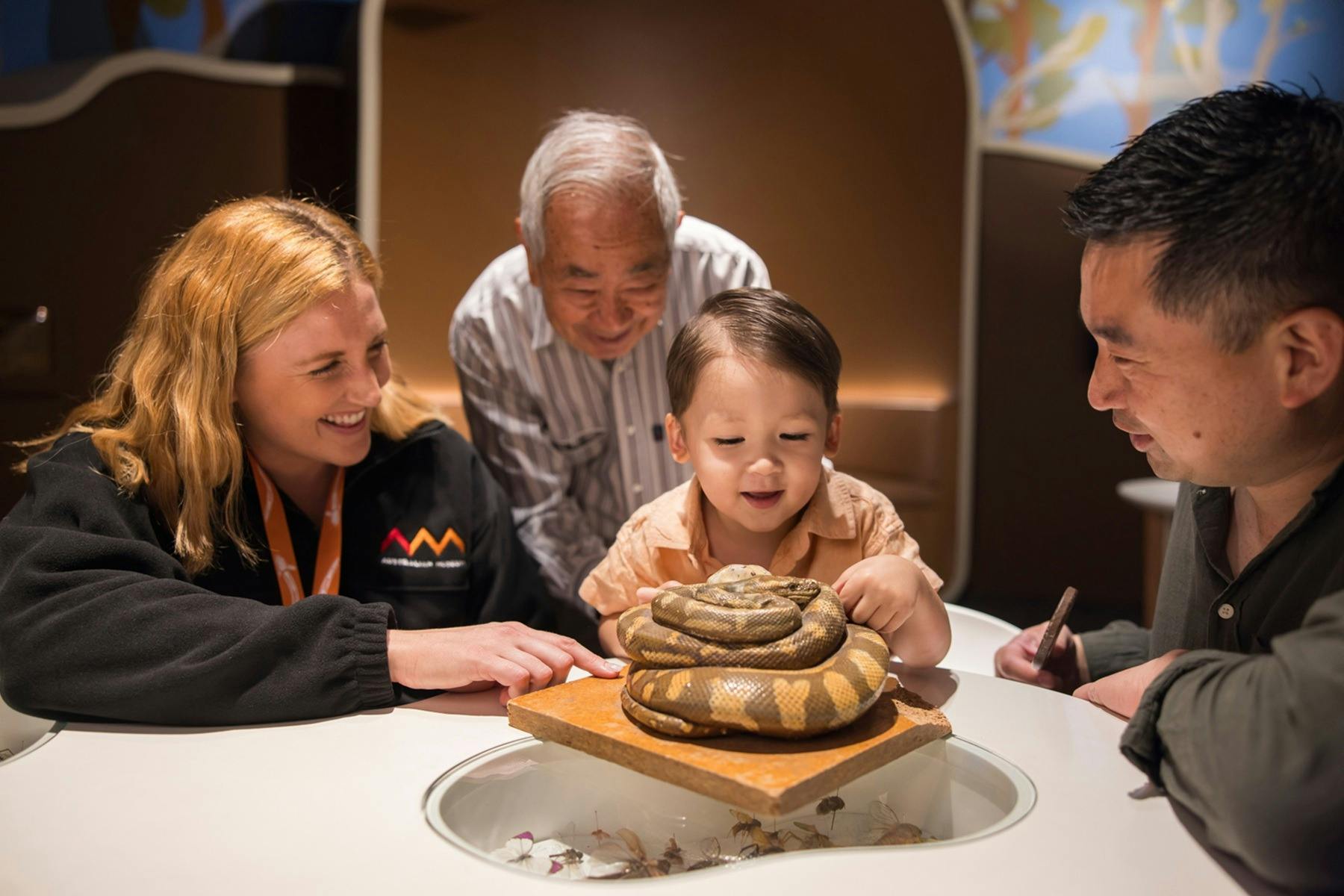 버라의 가족 - 상호작용 어린이 놀이 공간