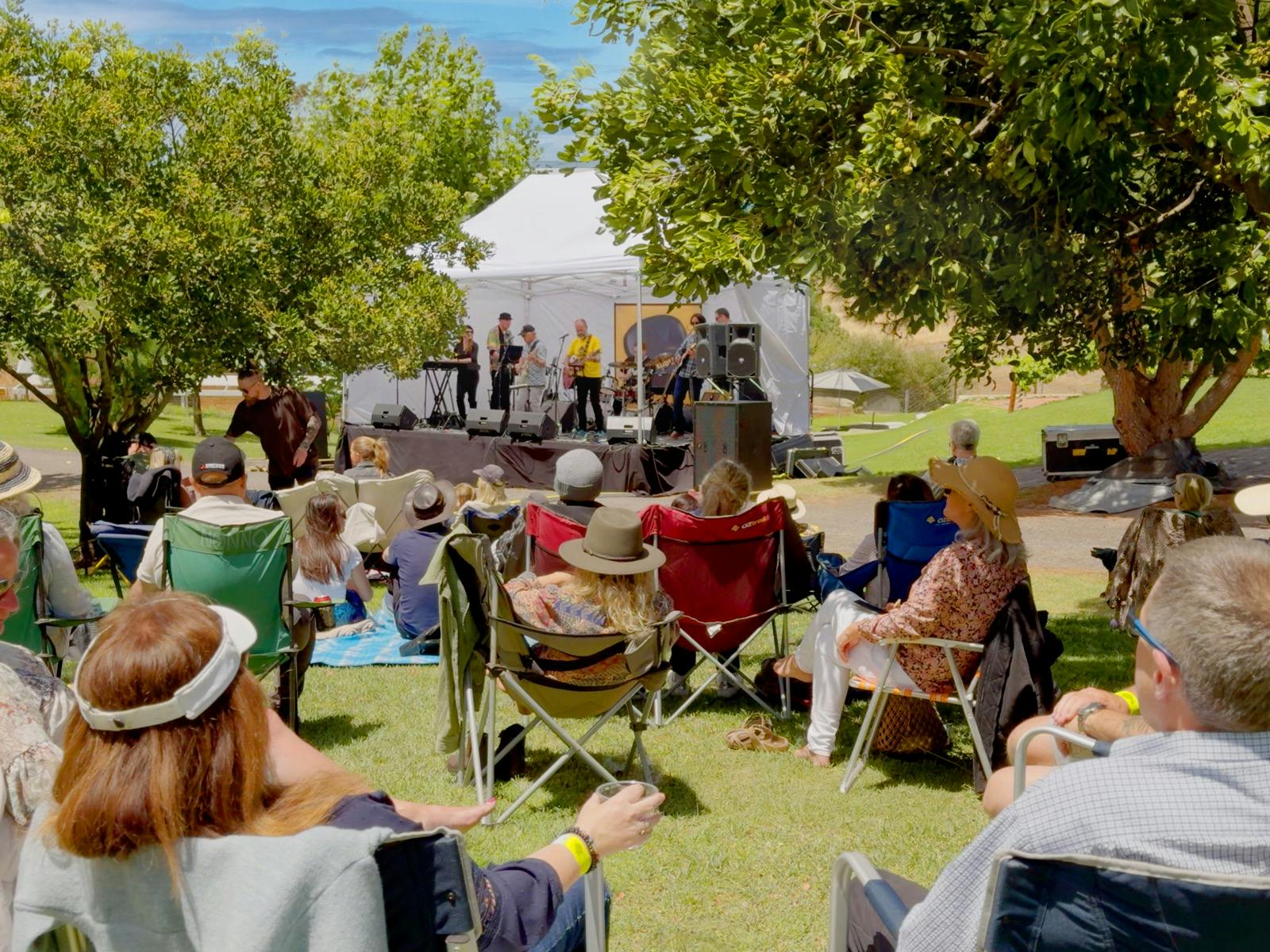 Summer Weekends at Paxton Wines