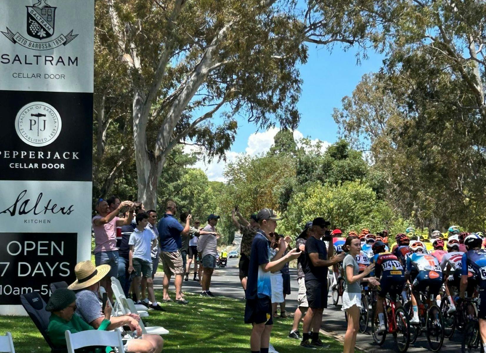 Peleton passing Saltram Wines