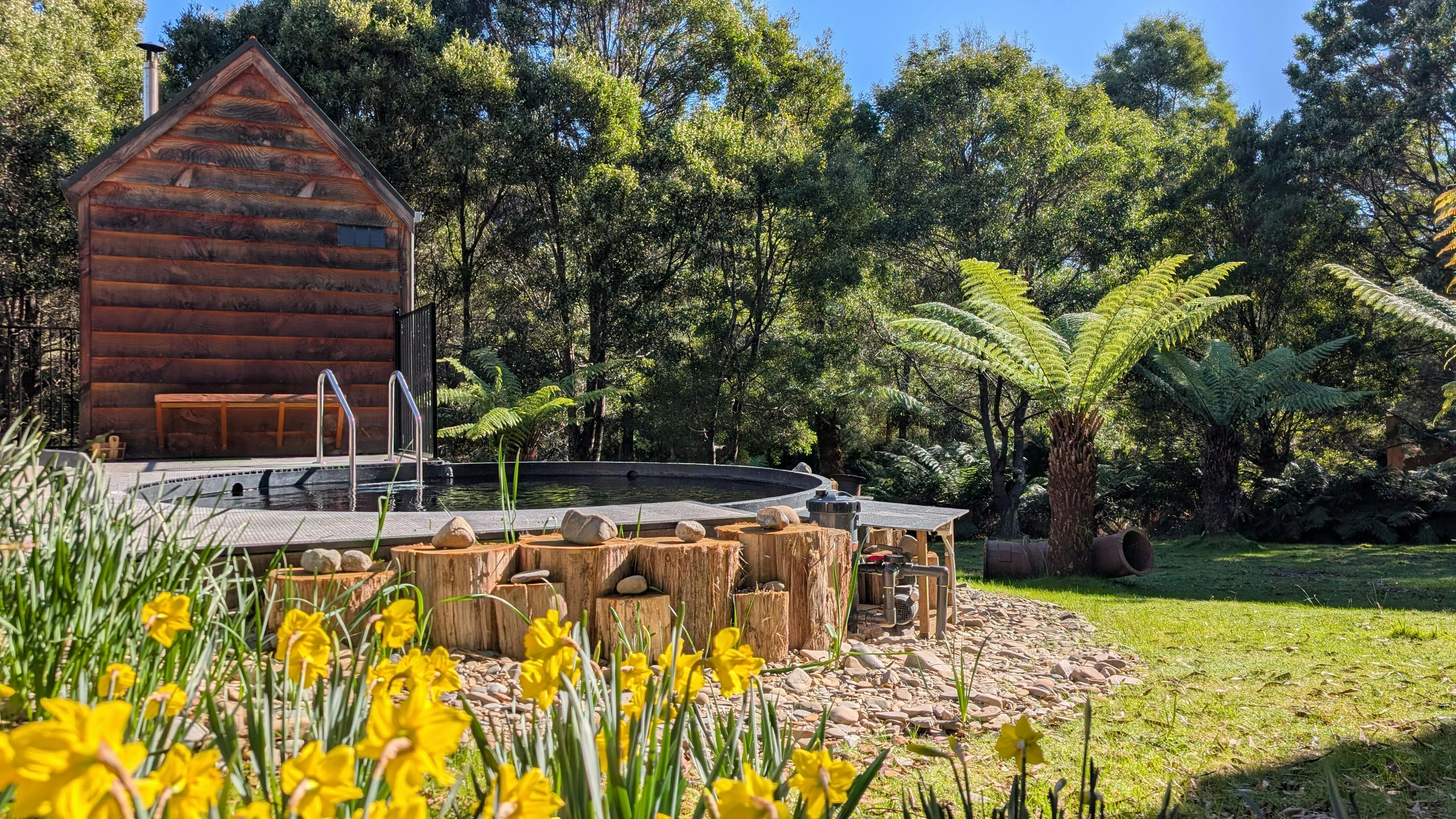 The exclusive wood-fired Tailrace Sauna and Plunge near Derby Tasmania in the bush with wild flowers