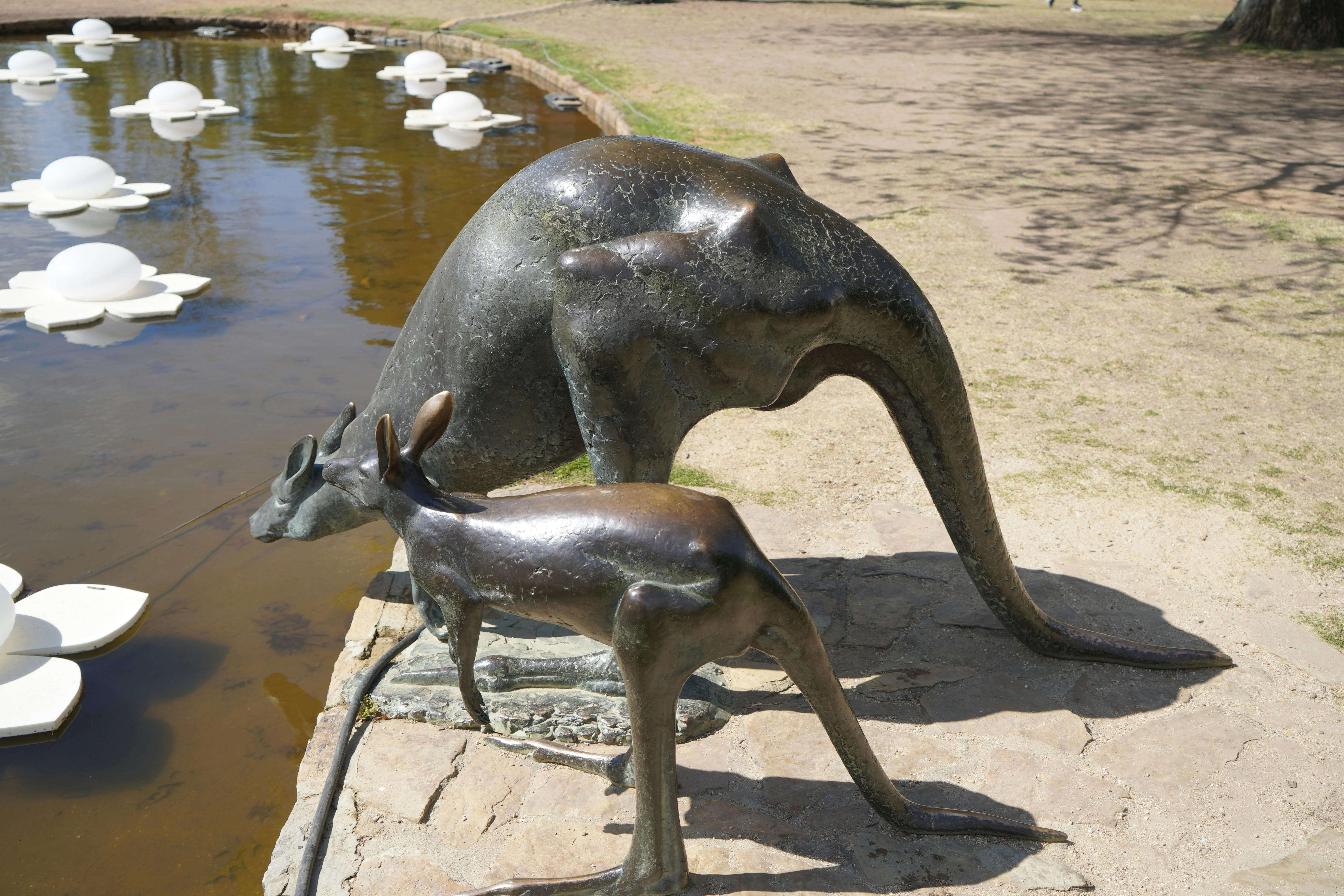Canberra Sightseeing Tour Bronze Kangaroos Commonwealth Park Canberra