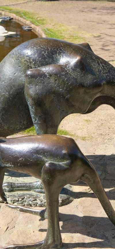 Canberra Sightseeing Tour Bronze Kangaroos Commonwealth Park Canberra