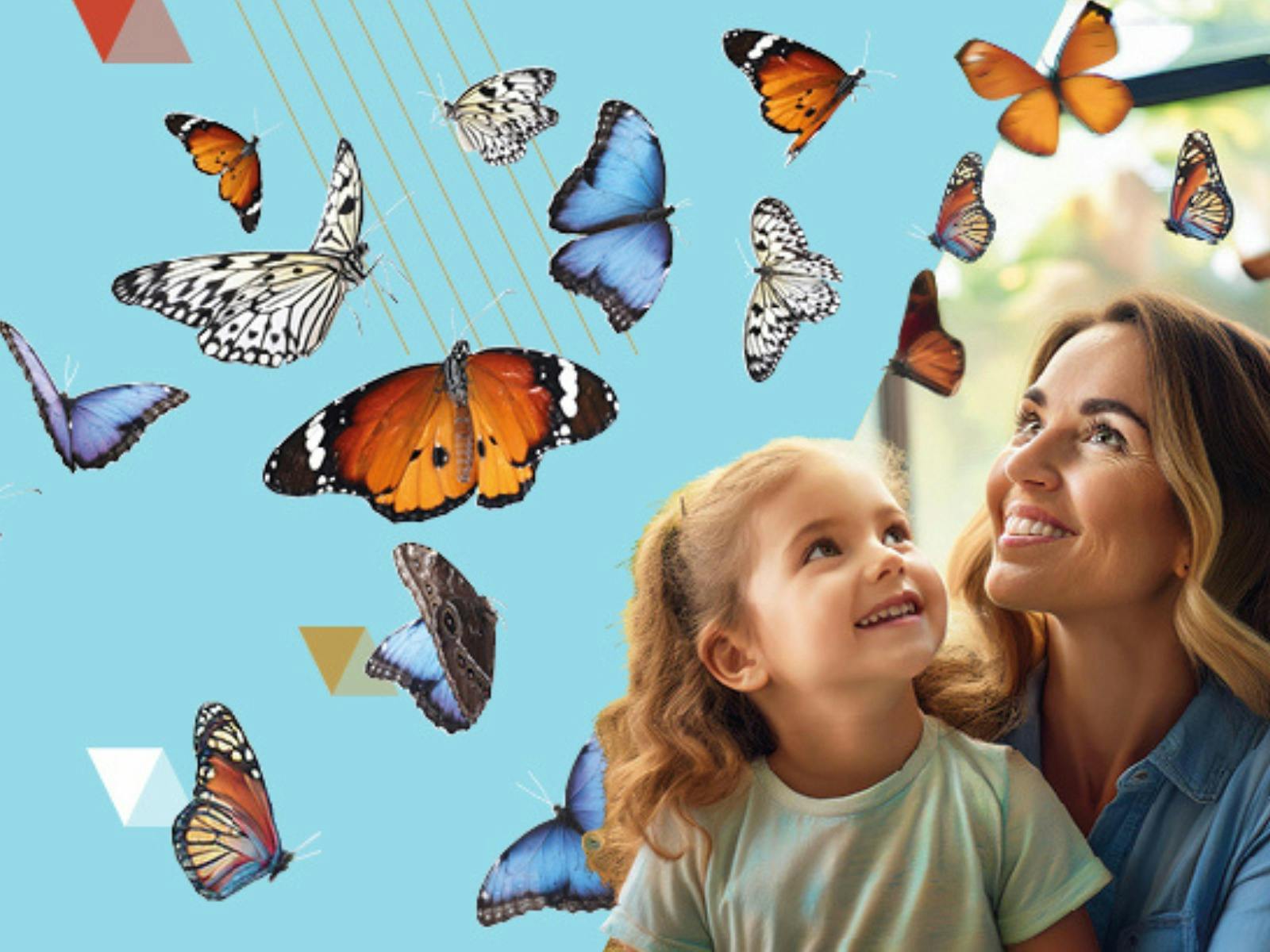 Butterfly House
