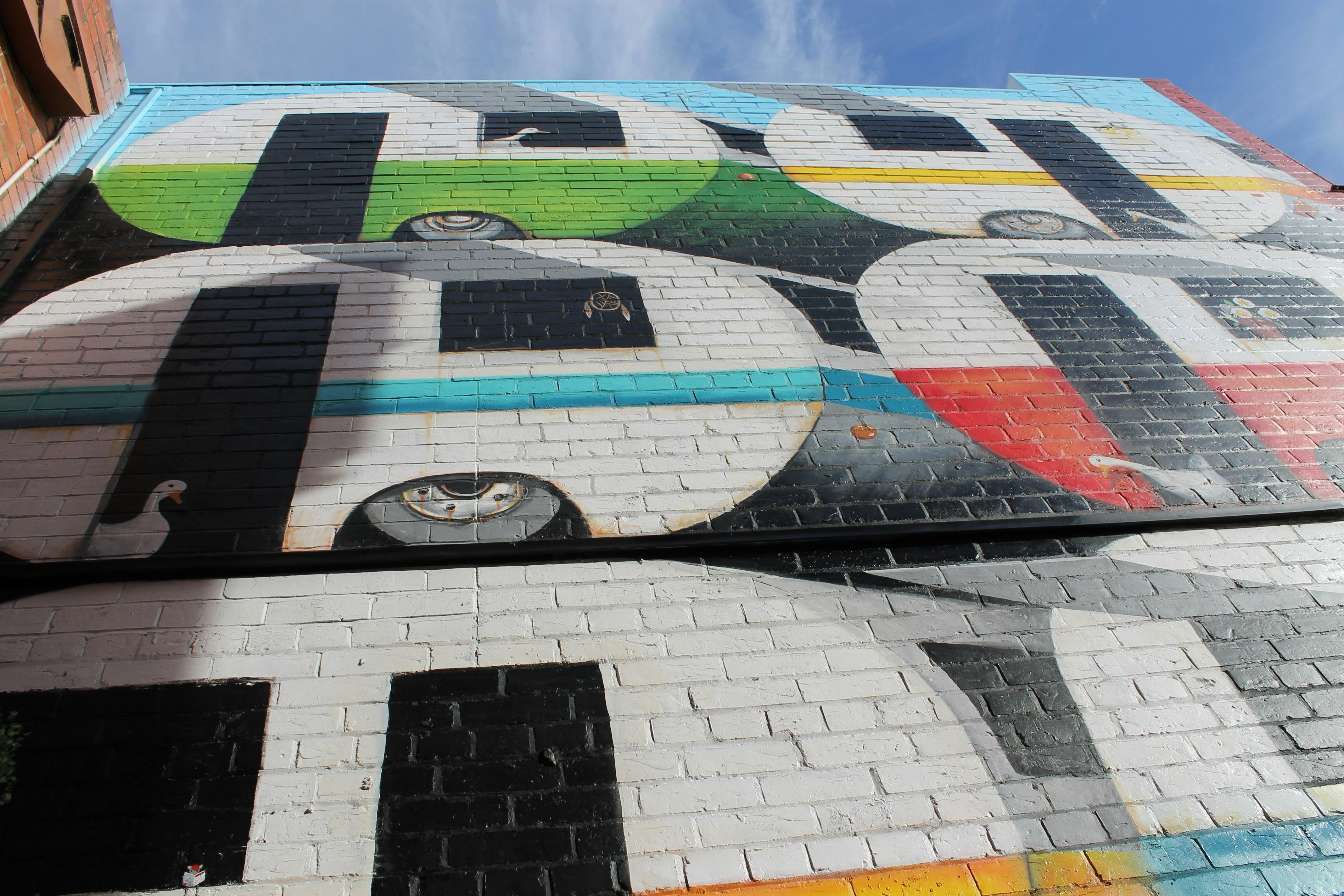 COVID19 Street Art - "Stay the Duck at Home" mural