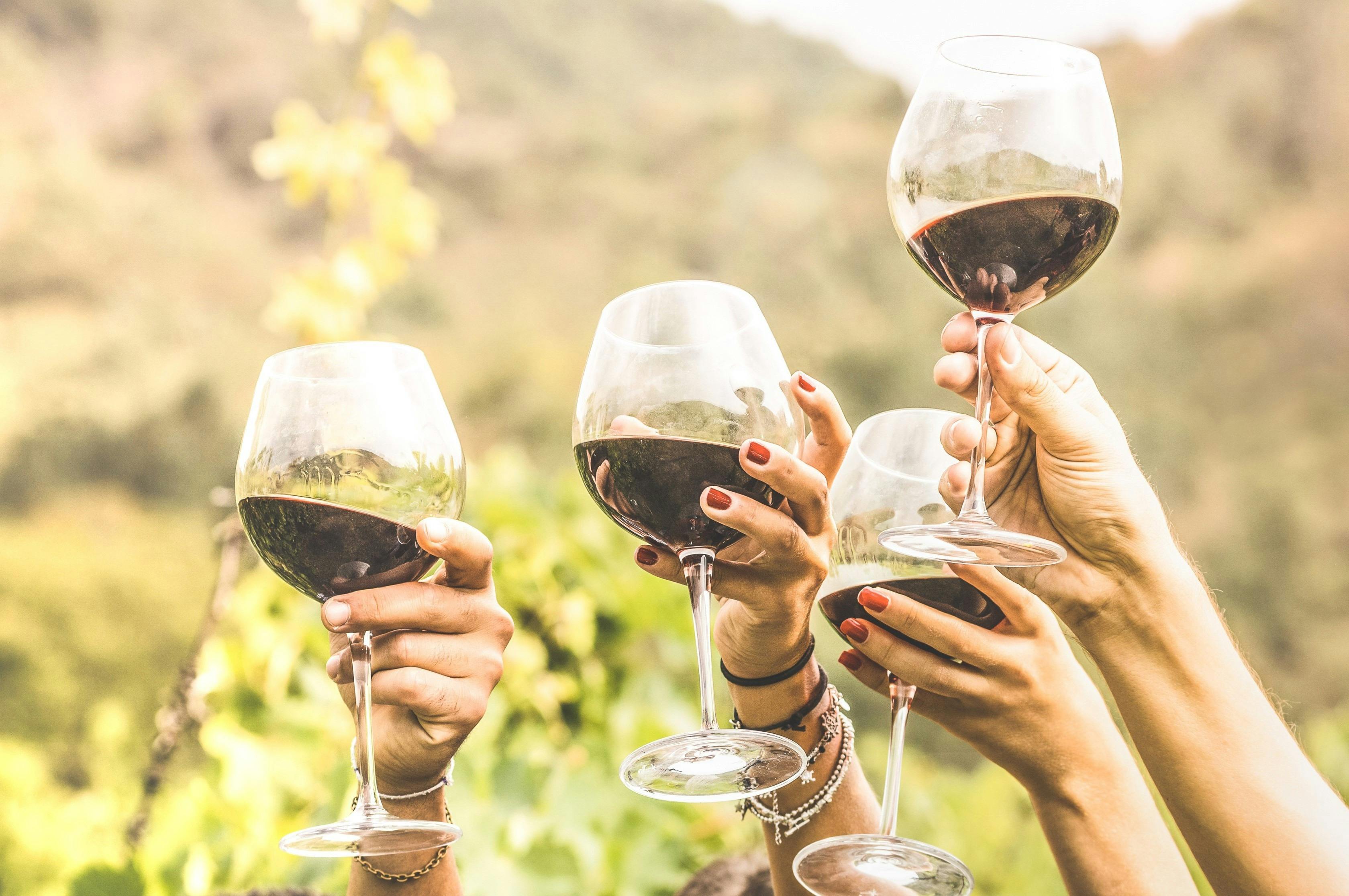 空中に掲げられた赤ワインのグラス