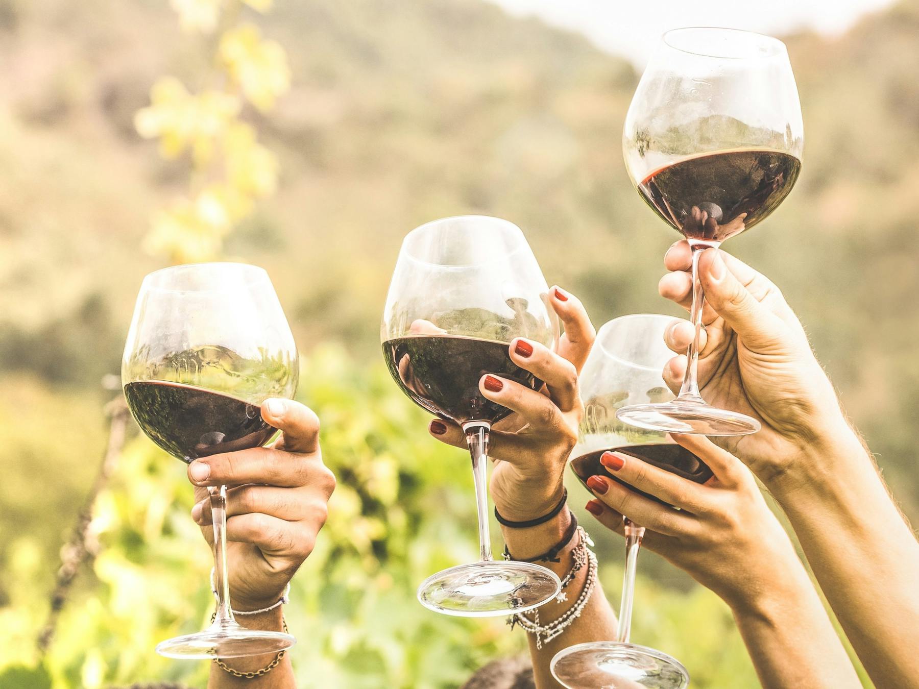 glasses of red wine held up in the air