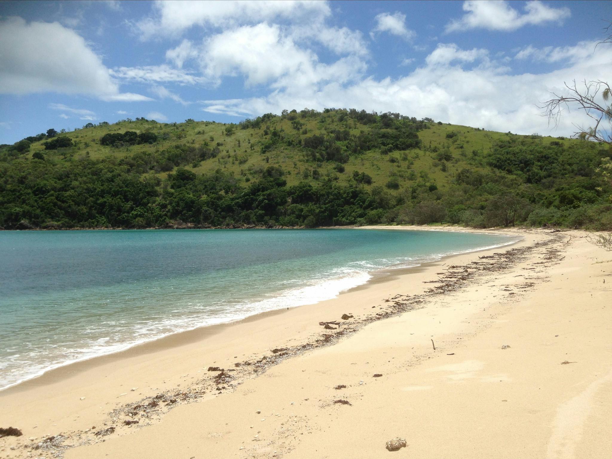 Keswick Island Beach