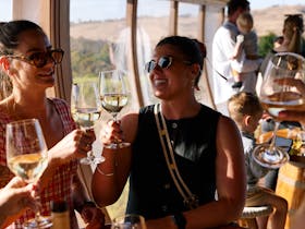 people in cellar door