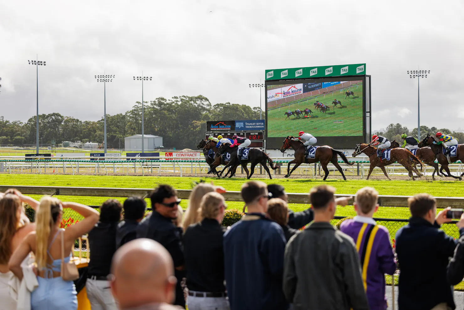 thoroughbred horses racing in the background of a crowd