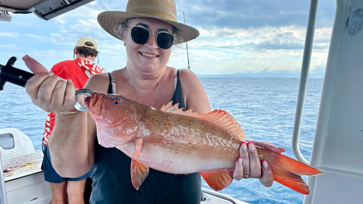 coral trout