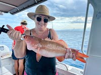 coral trout