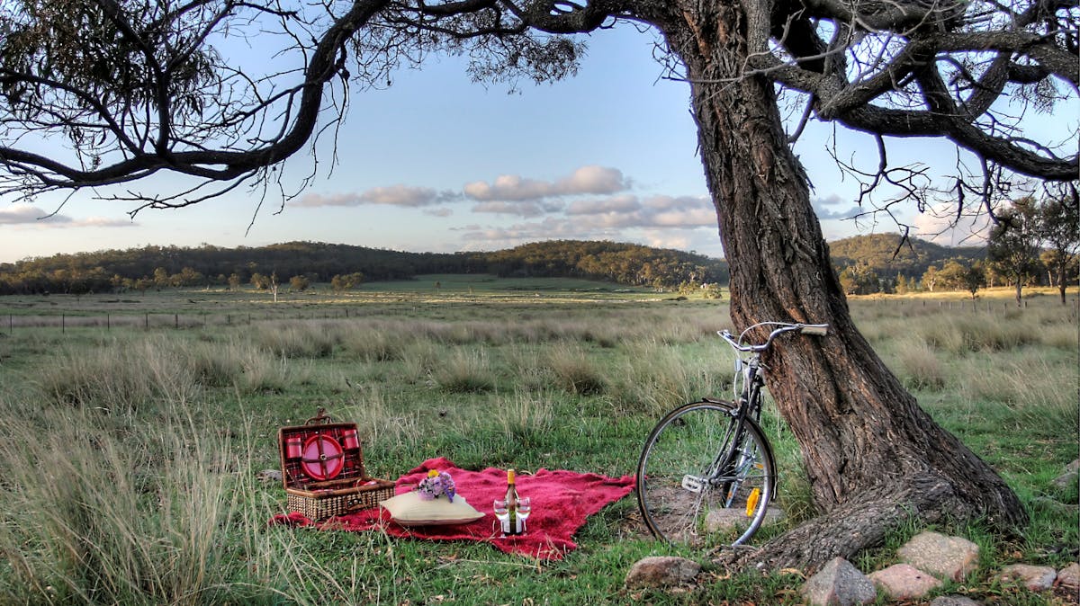Picnic at Alure