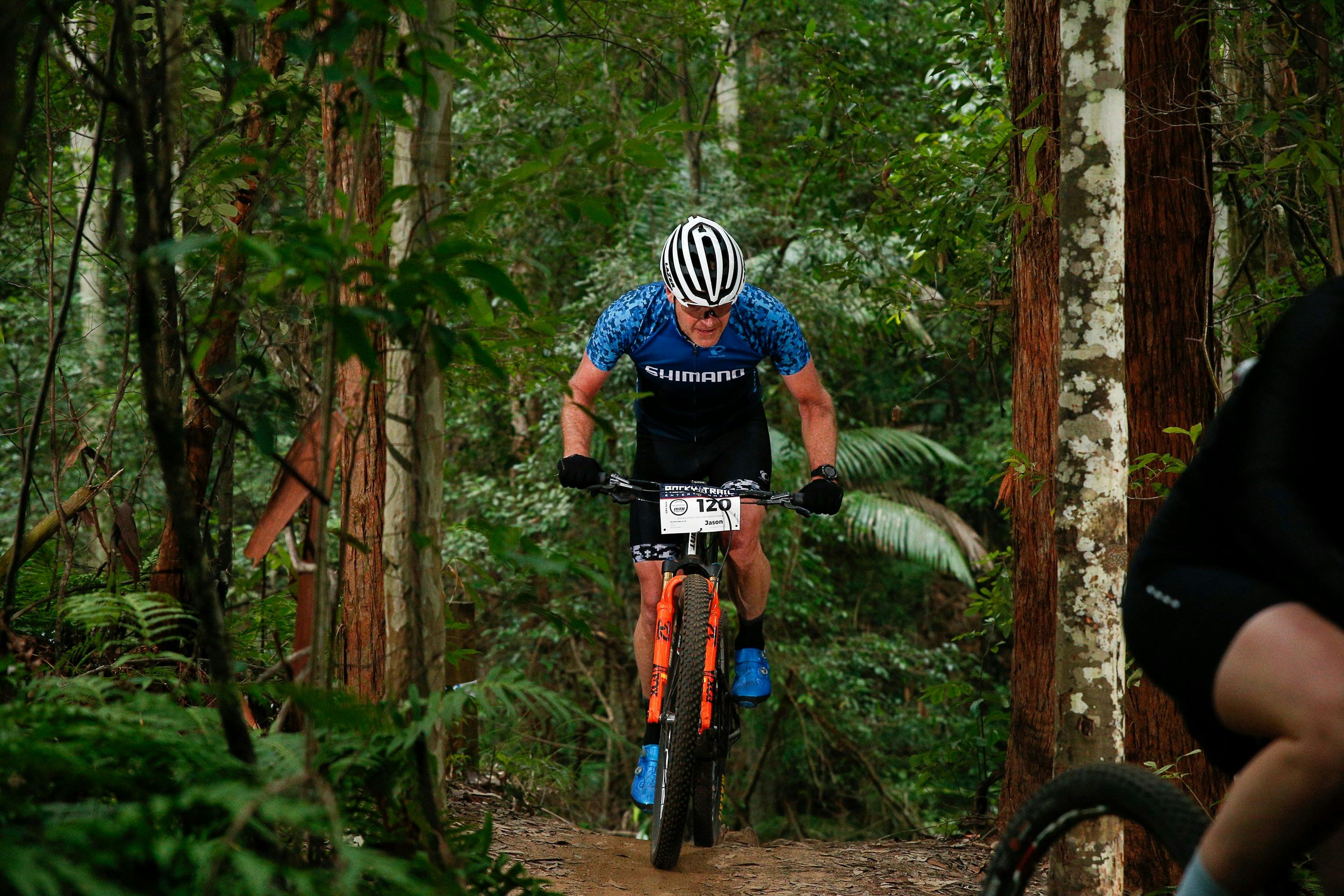 mtb direct palm beach