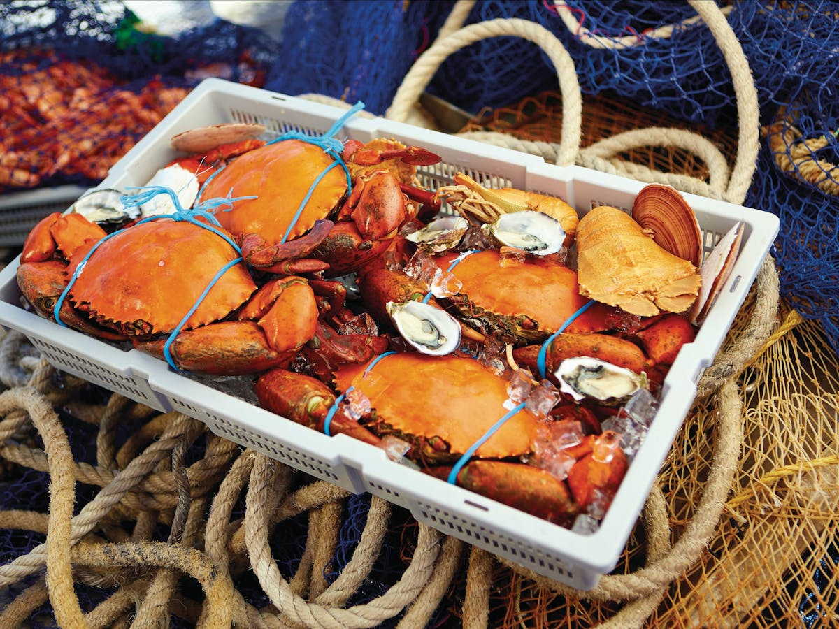 Fishing Yeppoon Fishing Yeppoon