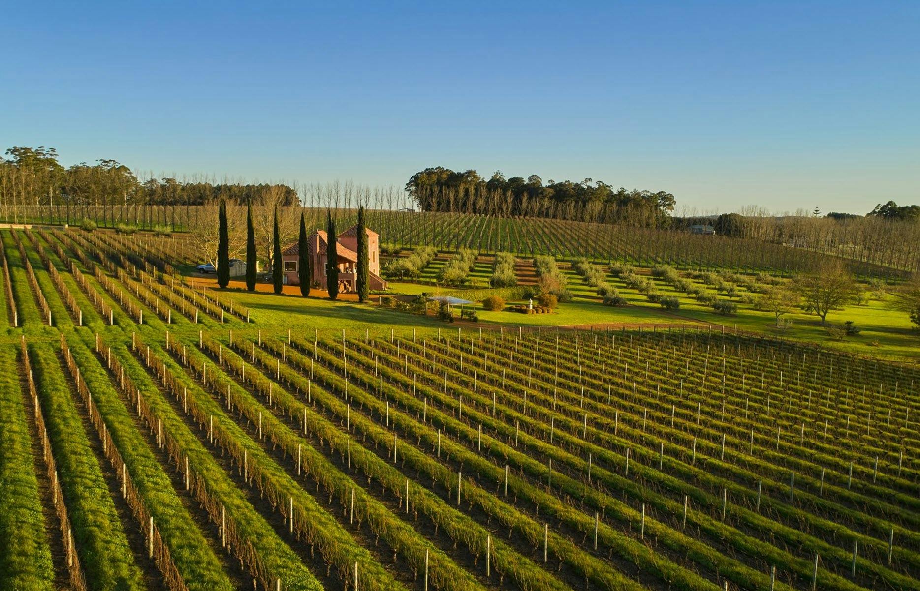 Picardy Wines, Pemberton