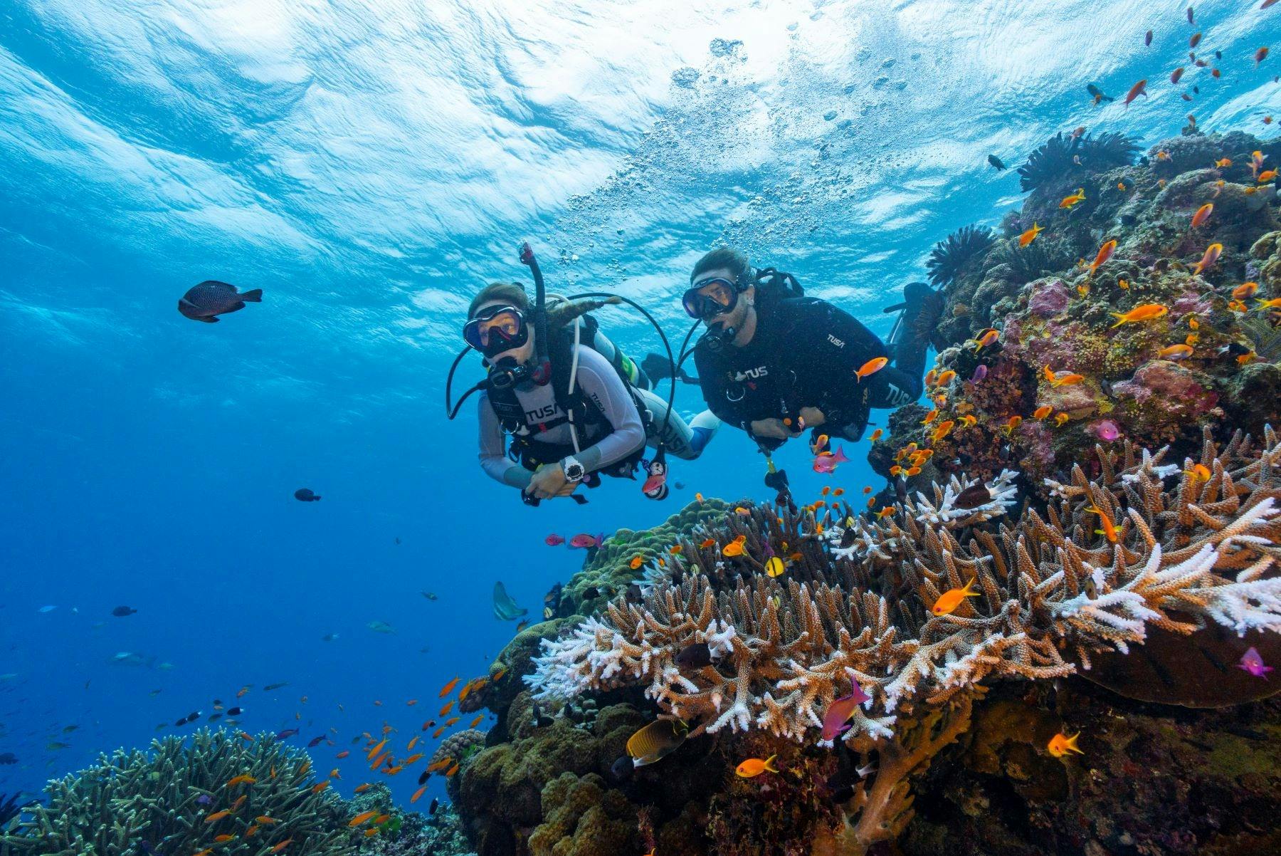 Divers Den