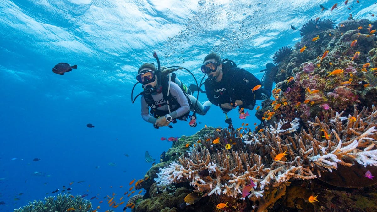 Certified Divers