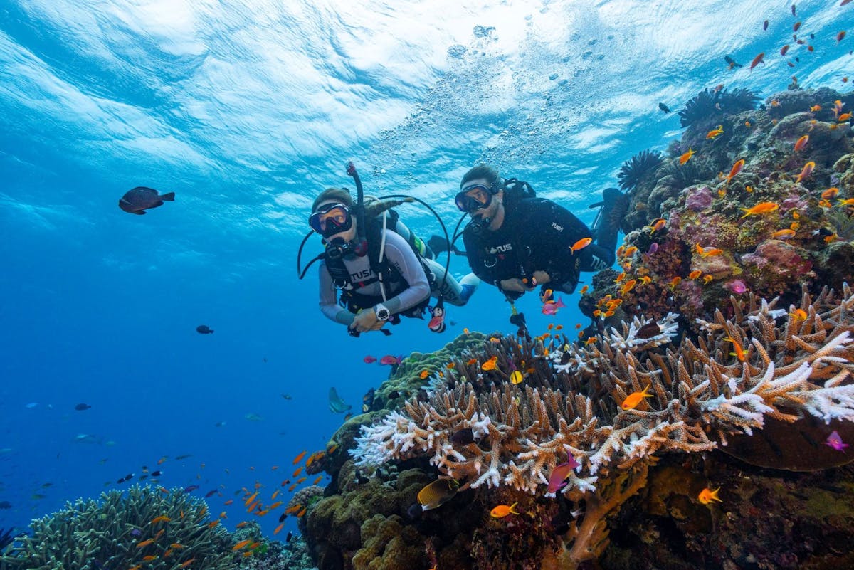 Certified Divers