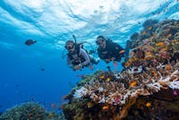 Certified Divers