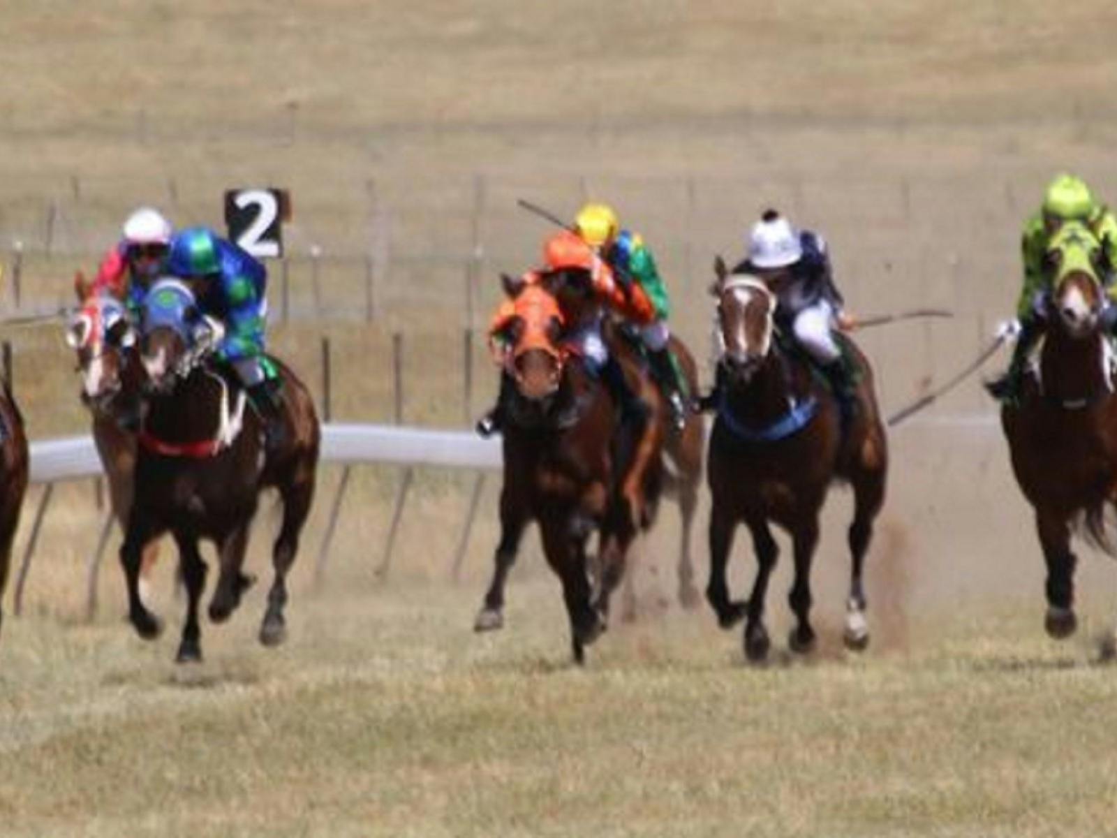 Adaminaby Races Facebook page