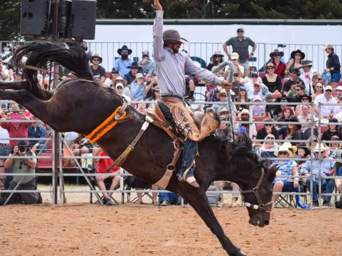 man riding a bucking horse